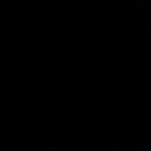 Meet your Posher, Ryley